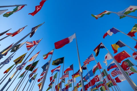 Flags from the UN